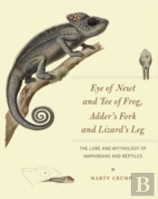 Eye Of Newt And Toe Of Frog, Adder'S Fork And Lizard'S Leg