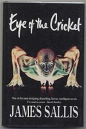 Eye Of The Cricket - Special Ed