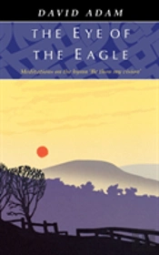 Eye Of The Eagle
