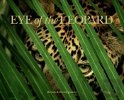Eye Of The Leopard