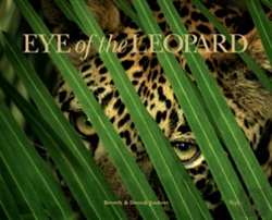 Bertrand.pt - Eye Of The Leopard