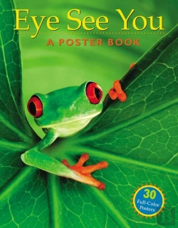 Bertrand.pt - Eye See You