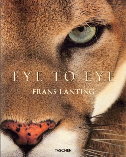 Bertrand.pt - Eye To Eye