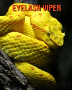 Bertrand.pt - Eyelash Viper