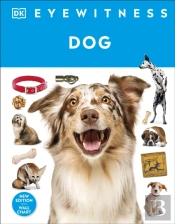Eyewitness Dog