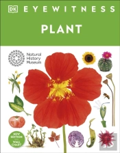 Eyewitness Plant