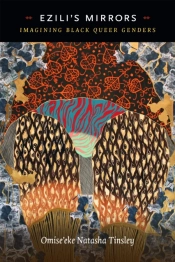 Ezili'S Mirrors