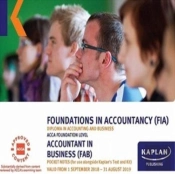 Fab - Accountant In Business - Pocket Notes