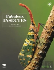Fabuleux Insectes