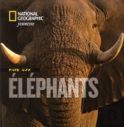 Face Aux Elephants