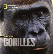 Face Aux Gorilles