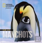 Face Aux Pingouins