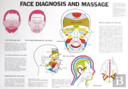 Bertrand.pt - Face Diagnosis And Massage