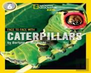 Face To Face With Caterpillars