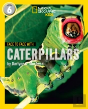 Face To Face With Caterpillars