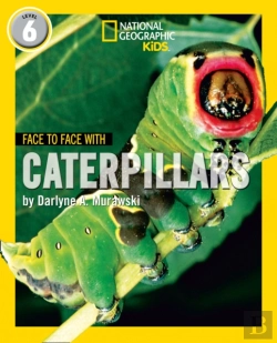 Bertrand.pt - Face To Face With Caterpillars
