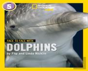 Face To Face With Dolphins