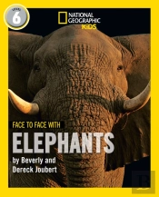 Face To Face With Elephants