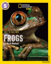 Face To Face With Frogs