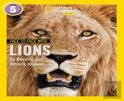 Face To Face With Lions