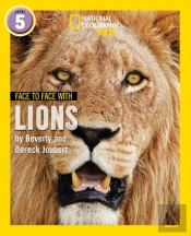Face To Face With Lions