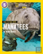 Face To Face With Manatees