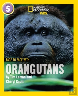 Bertrand.pt - Face To Face With Orangutans