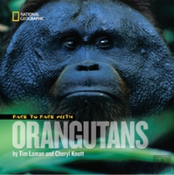 Bertrand.pt - Face To Face With Orangutans