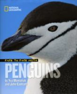 Bertrand.pt - Face To Face With Penguins