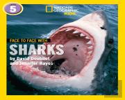 Face To Face With Sharks