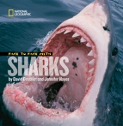 Face To Face With Sharks
