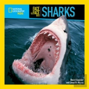 Face To Face With Sharks