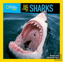 Face To Face With Sharks