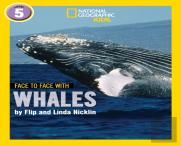 Face To Face With Whales