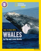 Face To Face With Whales