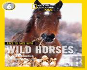 Face To Face With Wild Horses
