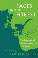 Faces In The Forest