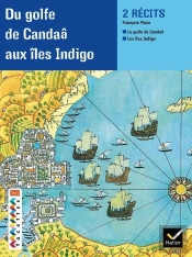 Facettes Bibliotheque : Du Golfe De Candaâ Aux Îles Indigo ; Cm2