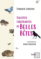 Facettes Fascinantes De Belles Bêtes