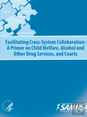 Facilitating Cross-System Collaboration: