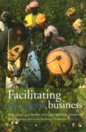 Facilitating Pro-Poor Business