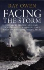 Facing The Storm