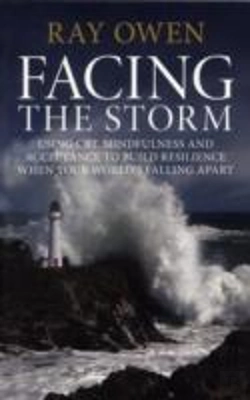 Bertrand.pt - Facing The Storm