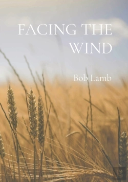 Bertrand.pt - Facing The Wind