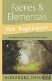 Faeries And Elementals For Beginners