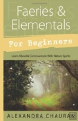Bertrand.pt - Faeries And Elementals For Beginners