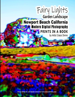 Bertrand.pt - Fairy Lights Garden Landscape Newport Be