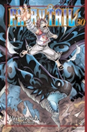 Fairy Tail 30