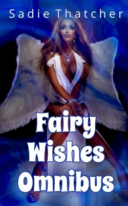 Bertrand.pt - Fairy Wishes Omnibus