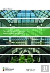 Faisabilité De Projets ; Aspects Oubliés De L'Analyse